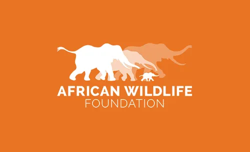 African Wildlife Foundation
