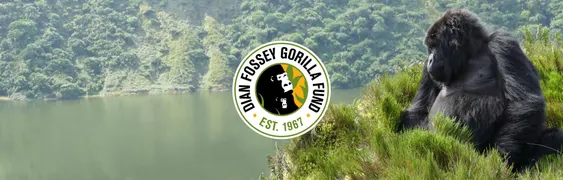 Dian Fossey Gorilla Fund
