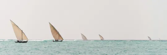 Dhow Sailing